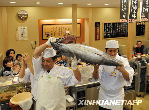 3月12日，在日本横滨的一家寿司店内，厨师展示一条金枪鱼.jpg