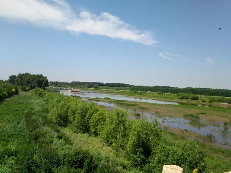 5be92994c94b5.jpg c808e91b00b00001df7963cc57c01c2a.jpg