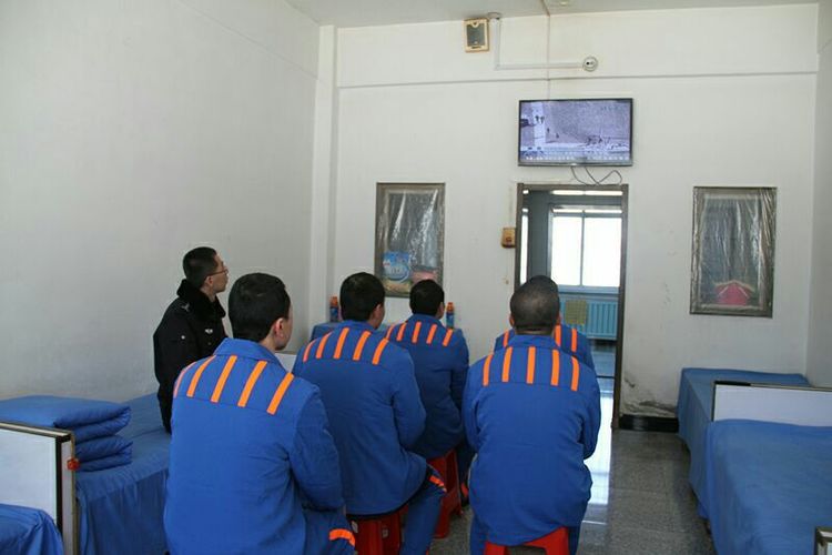 5be96c080955c.jpg 12.jpg